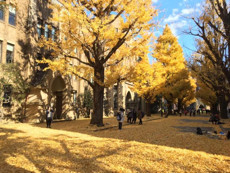 Universidad-Imperial-de-Tokio-1